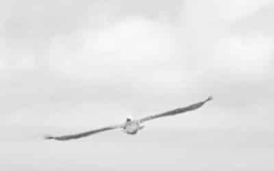 Travailler à domicile en 2026: liberté ou illusion?