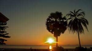 L'assurance-vie, un placement intéressant?