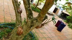 comment faire sa valise