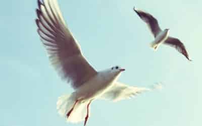 Comment investir à 20 ans