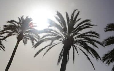 Les 10 secrets de millionnaires (ils vont vous surprendre)