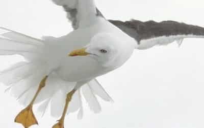 Comment investir à 30 ans