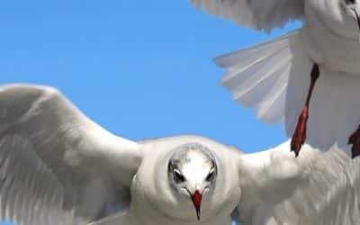 Comment investir à 40 ans