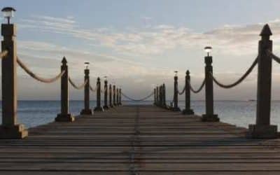 Acheter des fonds de placement en 2026 (le guide complet)