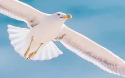 Comment investir à 50 ans