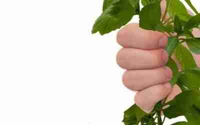 Devenez vous aussi un expert en investissement