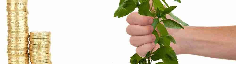 Devenez vous aussi un expert en investissement